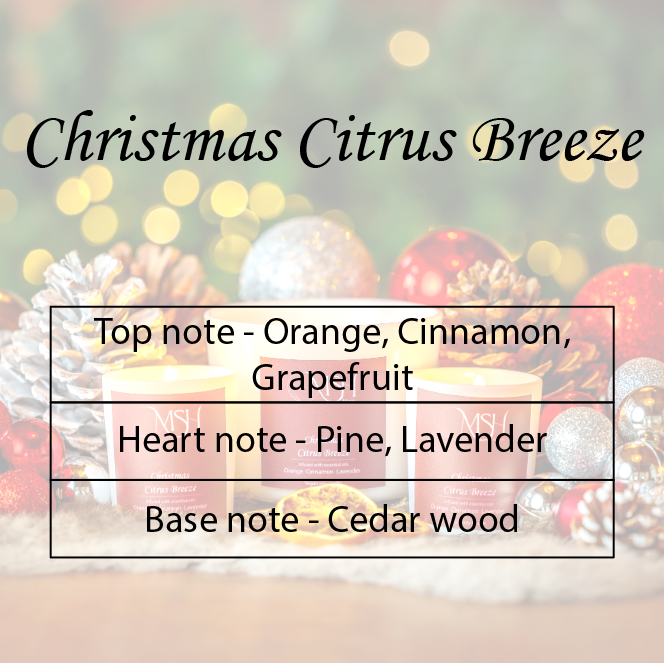Christmas Citrus Breeze - Scented Candle